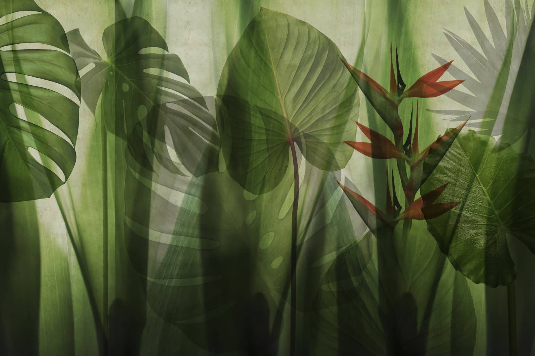 glamora-carta-da-parati-rivestimenti (2)