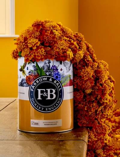 resinnova-farrow-and-ball-vernici-rivestimenti (13)