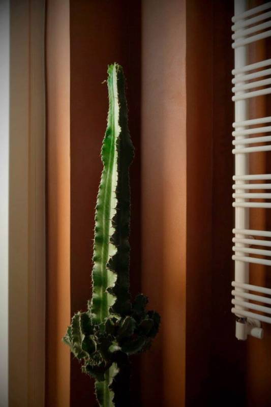 resinnova-elekta-resine-elekta-(7